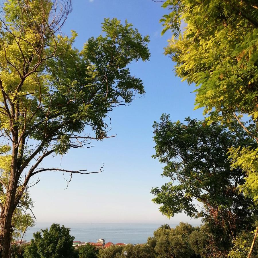 Bed and Breakfast Il Magnolia Francavilla Al Mare Zewnętrze zdjęcie